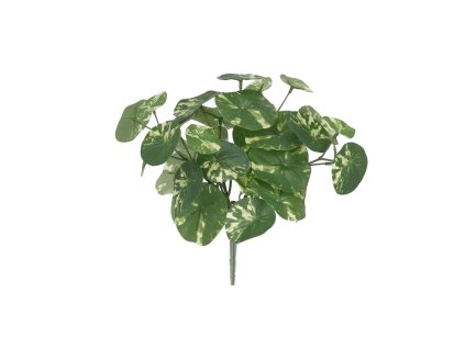 AnyConv.com 449302 stephania erecta kunstplant 23cm bont 2