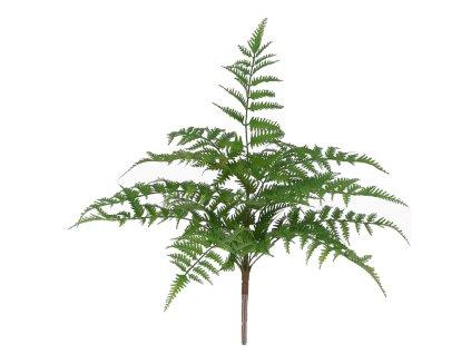 AnyConv.com 400204 pteris kunst varen 40cm 4