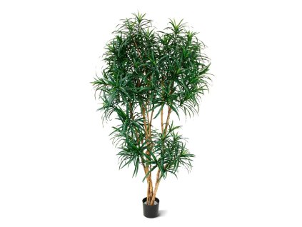 AnyConv.com draceana reflexa xl 190 cm groen kunstboom 153019 1 1 4