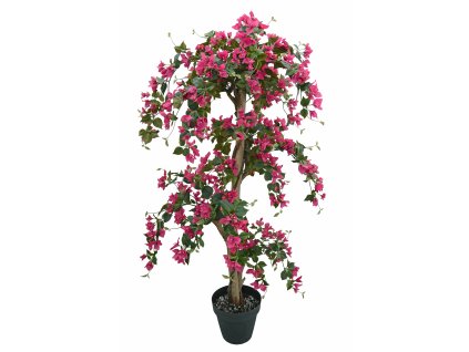 Bouganvillea Multistep 180 cm Fuchsia 1108F10