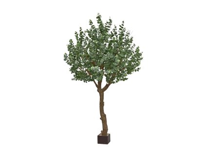 AnyConv.com 143028 Eucalyptus XL 280cm 0nkatb