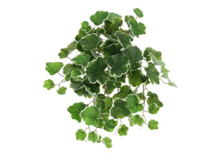 AnyConv.com 213805 saxifraga kunsthanger 50cm bont 1