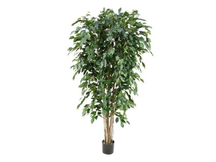 AnyConv.com Brandvertragende Ficus Exotica Deluxe kunstplant 180 cm groen FR 3