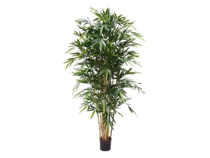 AnyConv.com Bamboe Deluxe 180 cm FR 3