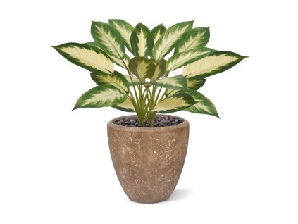 AnyConv.com 448204 1716459645 combination1716459544