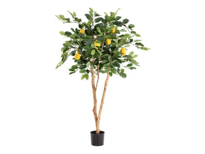 AnyConv.com 194312 citroen kunstplant 120cm 2