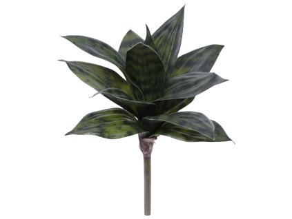 AnyConv.com 447502GR Sanseveria bush 20 groen 3