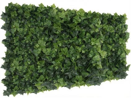 Břečťan Extra detail