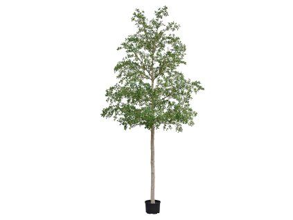 AnyConv.com 144040 Bucida shady lady kunstboom 400cm groen