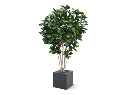 AnyConv.com lyrata deluxe kunstplant op stam 125cm pot2