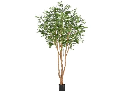AnyConv.com 132025 Murraya Kunstboom Deluxe 250cm in pot(1)