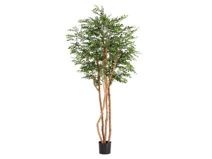AnyConv.com 132021 Murraya Kunstboom Deluxe 210cm in pot 1