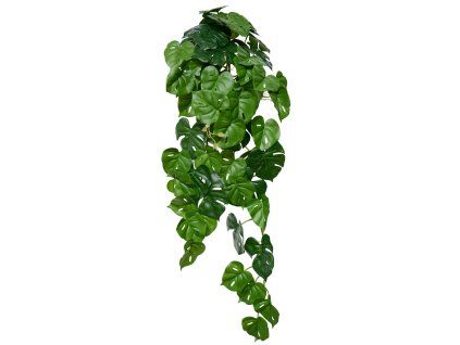 Philo Monstera Hanging 80 cm Green 5704GRN