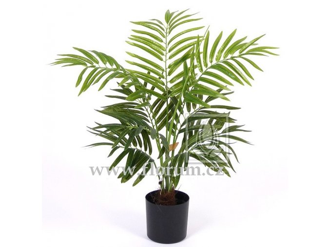 Umělá palma Areca (60cm)