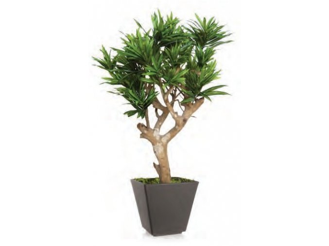 10876 umely strom dracaena reflexa robustina 90cm