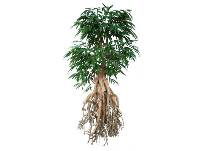 10942 umely strom longifolia root giant 250cm