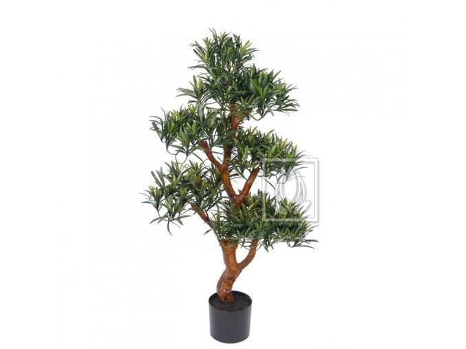 Umělá bonsaj Podocarpus (100cm)