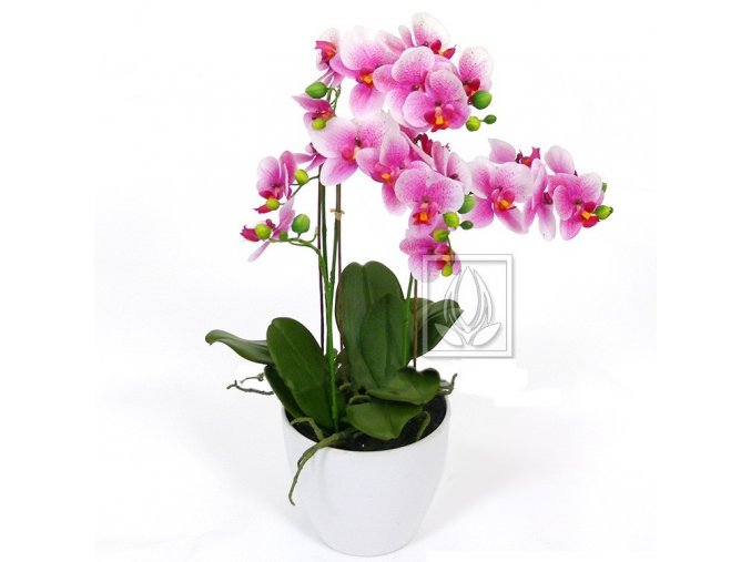 Umělá rostlina Orchidej (60cm) růžová