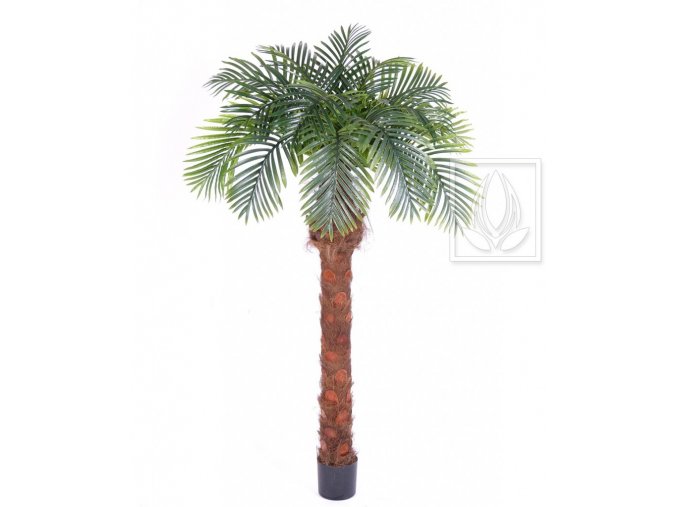 Umělá palma Phoenix DLX (180cm)