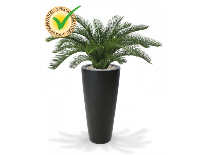 180106uv cycas palm deluxe 60 tondo 70 antraciet