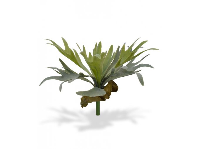 Umělá rostlina Parožnatka (30cm)