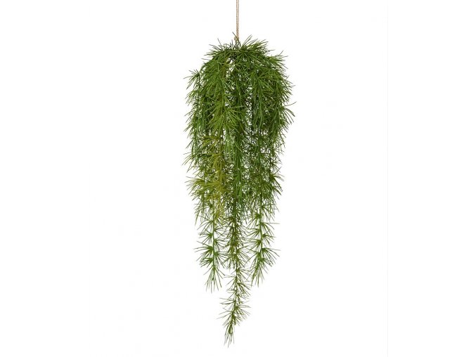 Umělá rostlina Asparagus Sprengeri (60cm)