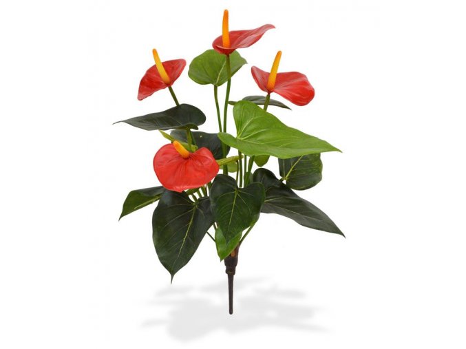 405104rd anthurium boeket 40 rood 1