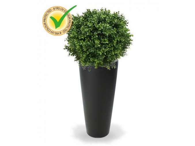 138205uv buxus ball 50 tondo alto 34 antraciet