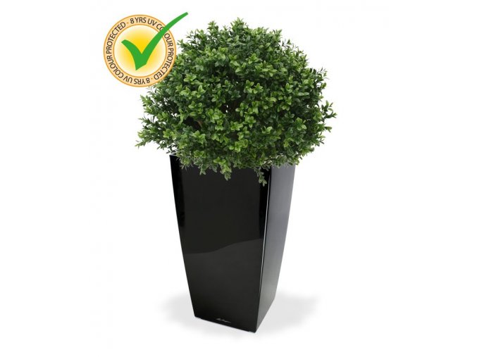 138204uv buxus ball 40 cubico 22 zwart