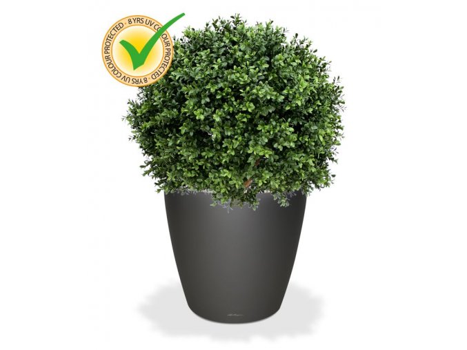 138206uv buxus ball 60 classico 43