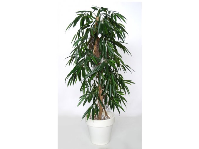 Longifolia Pendula 160 cm Green 1058026
