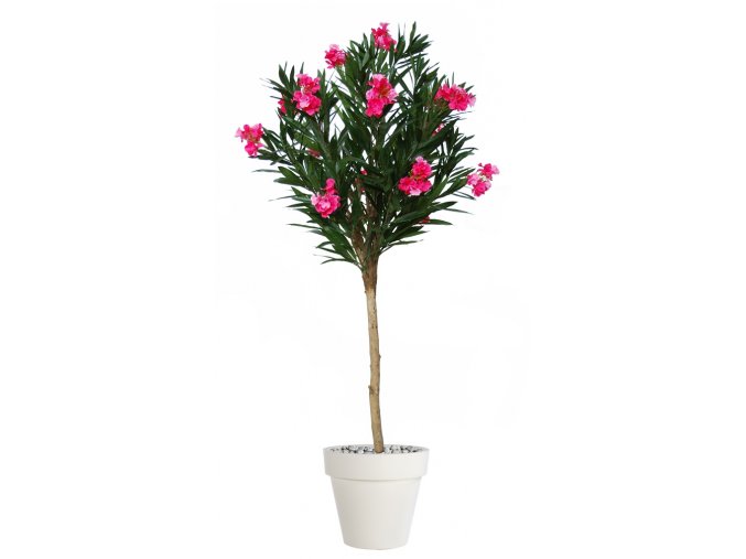 Oleander Globe 200 cm Pink V10779001