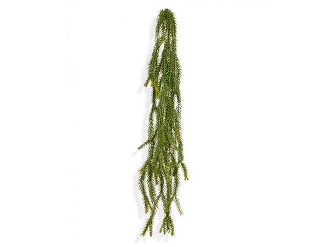 204506 asparagus foxtail hanger 60 groen