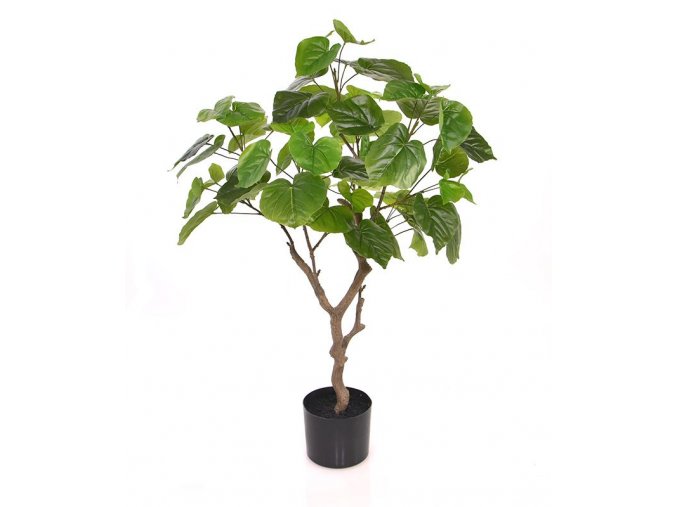 Umělý strom Ficus Umbellata (90cm)