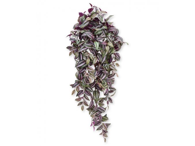 202610 tradescantia hangplant 100 paars