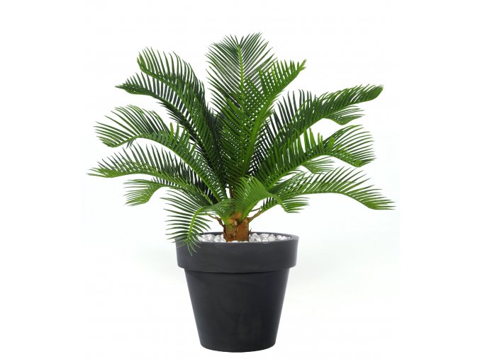 Cycas Plant 40 cm Green V5643GRN