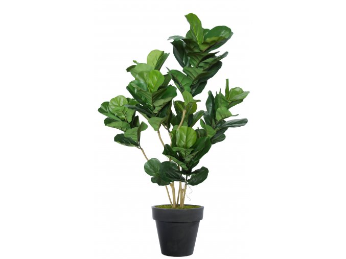 Ficus Lyrata Plant 120 cm Green V5621GRN