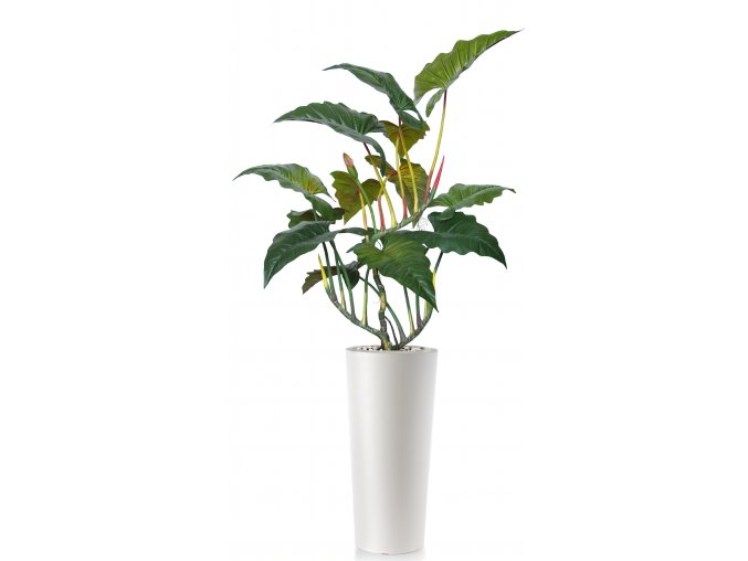 Philodendron Opal 250 cm Green V5609GRN