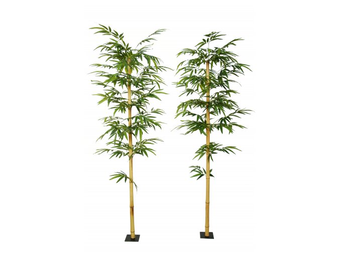 Bamboo Medium Single Tree 220 cm Green 1074011