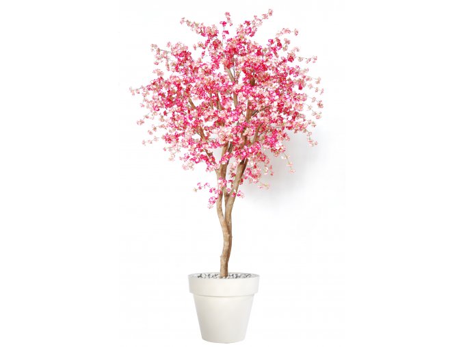 Cherry Wild Tree 250 cm Pink V1084P06