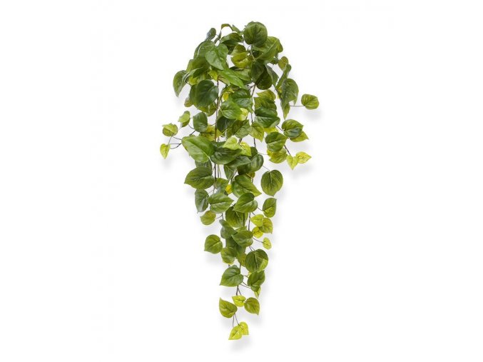 Umělá rostlina Pothos - zelený  (65cm)