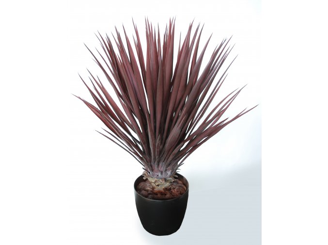 Yucca Linearis Bush 80 cm Burgundy 4233B01