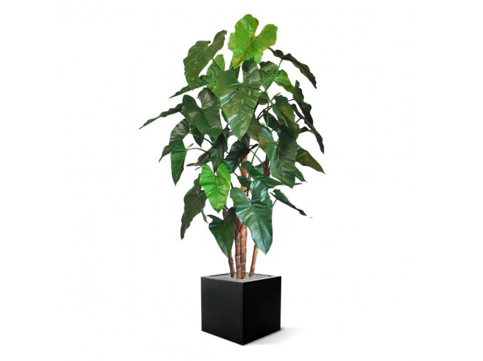 philodendron deluxe kunstboom 170 cm 152317 5