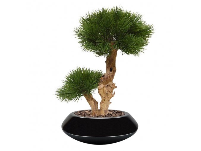 pinus bonsai kunstboom 55 cm op voet 151805 3