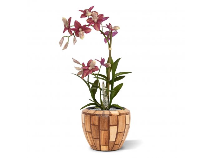 Spider Orchidee 50 burgundy 443405BU 3 1 1