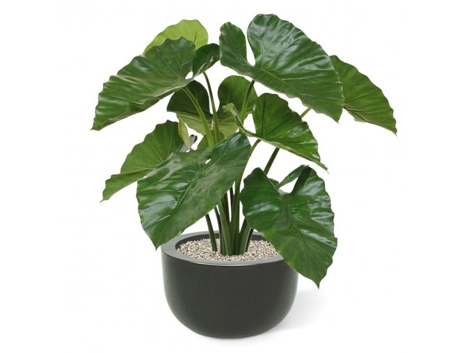 alocasia calidora kunstboeket 70 cm 152007 4 3