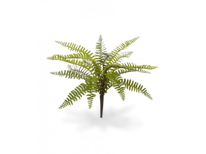 408103 asplenium varen boeket 35 3