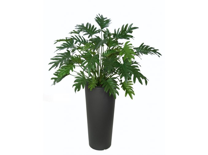 Philodendron Lux 125 cm Green V5513GRN