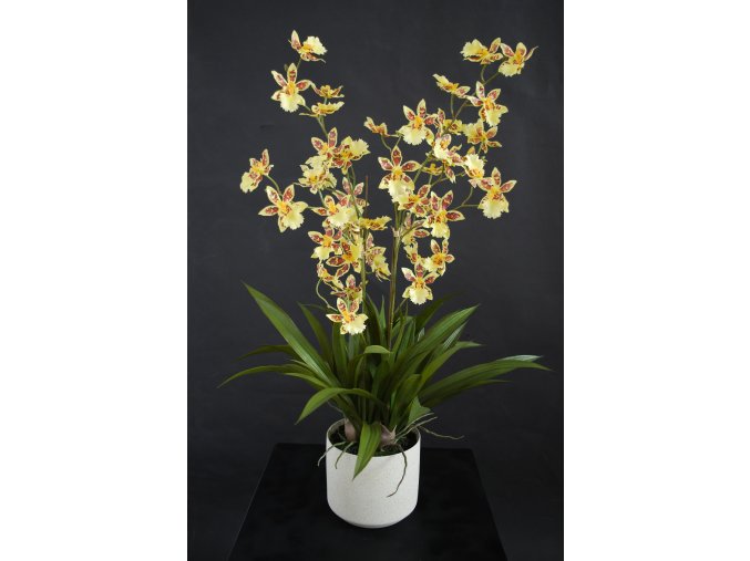 Umělá rostlina Orchidej "Dancing" (70cm) - žlutá