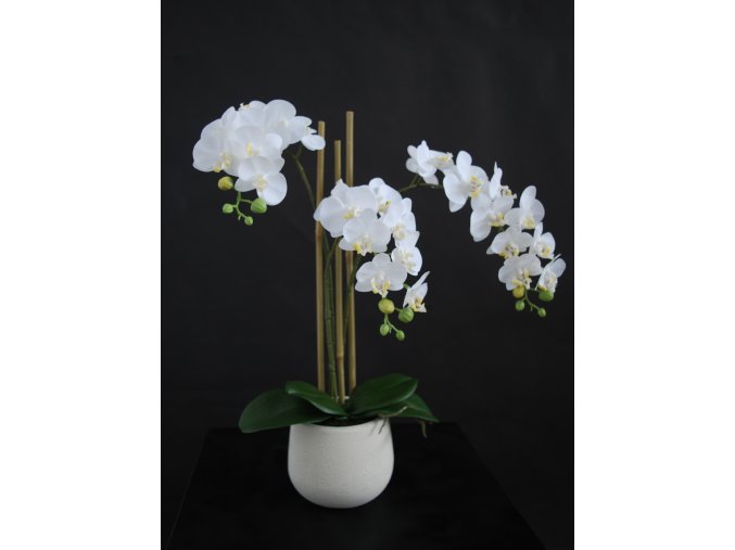 Orchid Phalaenopsis Mini Fiber Pot 50 cm White 5685WHT